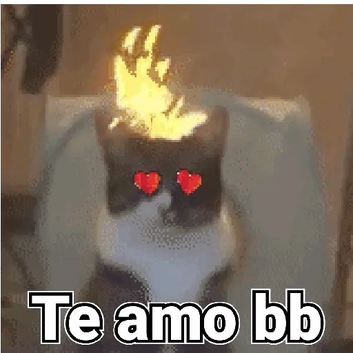 ✨❤️ Destellos de amor 💔✨ 7