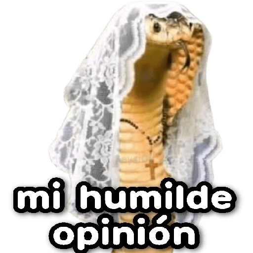 🐍memes serpientes🐍✨