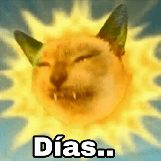 💫Memes Gatos #2❣️