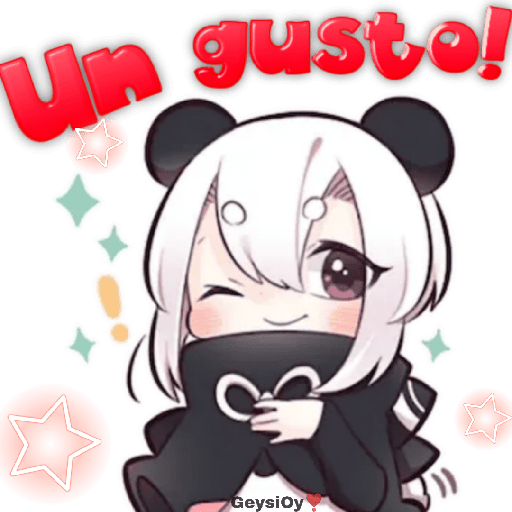 💫Niña panda ❣️ 18