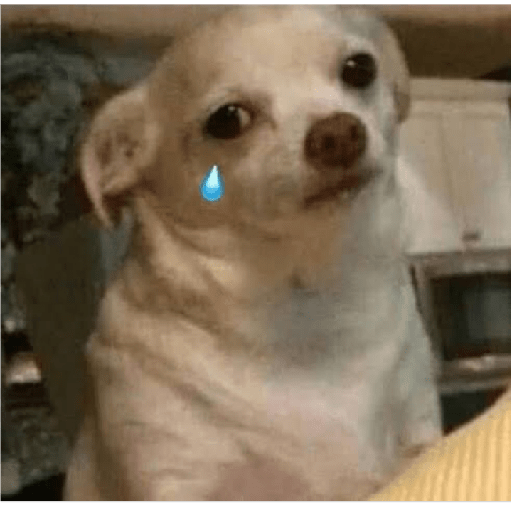 Köpek mood 22