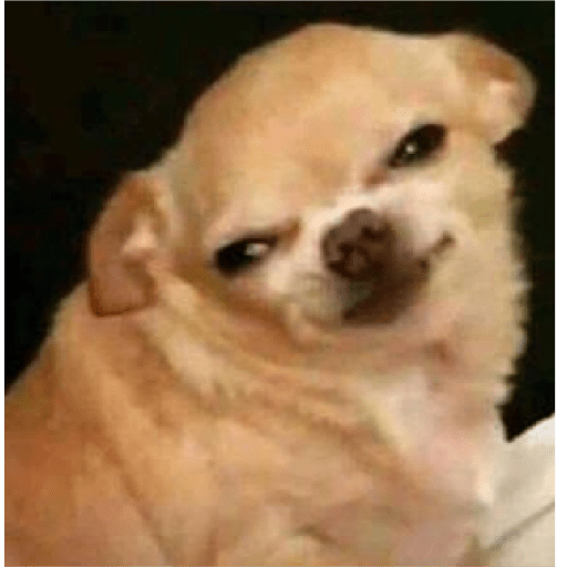Köpek mood 17