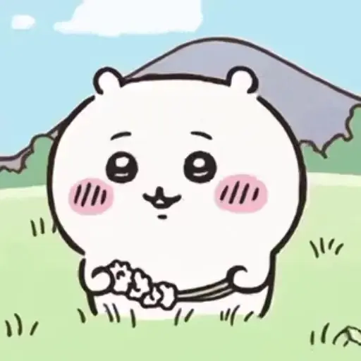 ㅤ㎔   ㅤ   ⟮ CHIIKAWA ⟯ 11