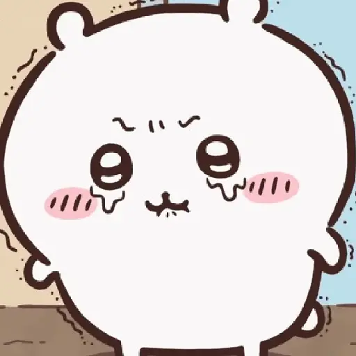 ㅤ㎔   ㅤ   ⟮ CHIIKAWA ⟯ 14