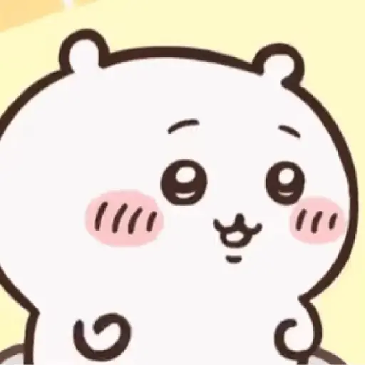 ㅤ㎔   ㅤ   ⟮ CHIIKAWA ⟯ 29