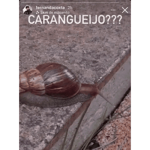 Omg 6