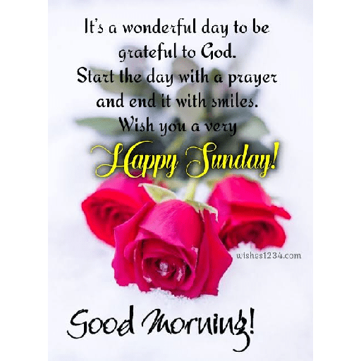 Good morning 🌅🌄