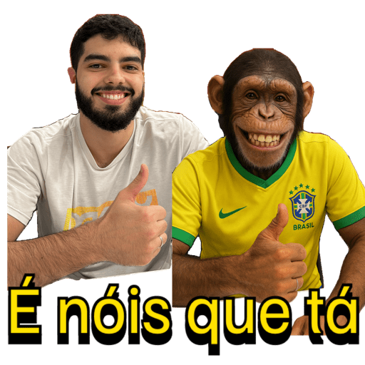 Minhas figurinhas 5