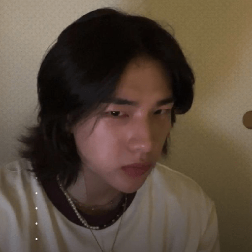 Hyunjin 2.0 13