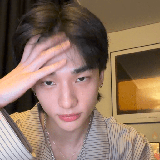 Hyunjin 2.0 22
