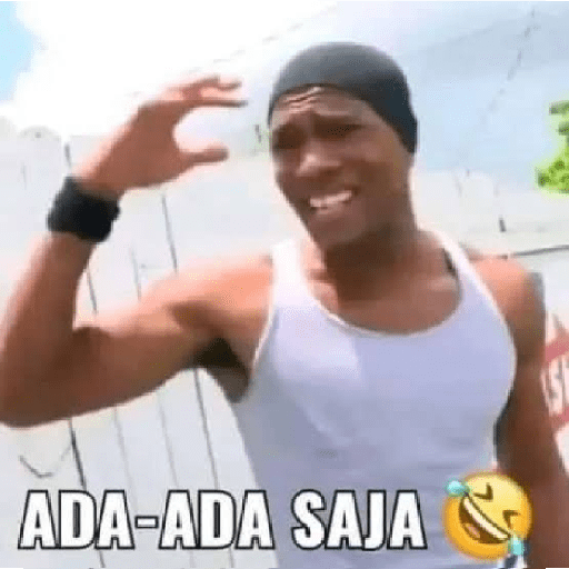 Meme 5