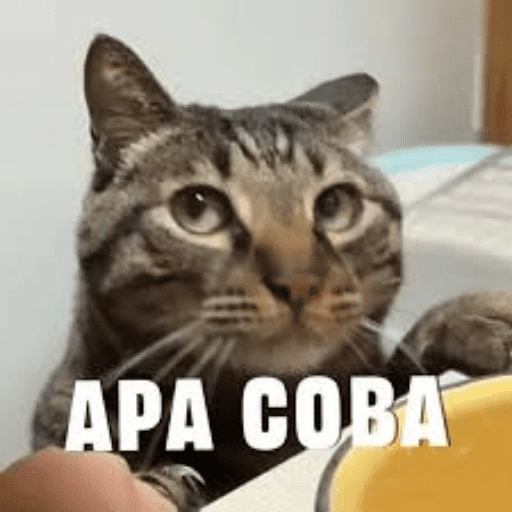 Meme 13