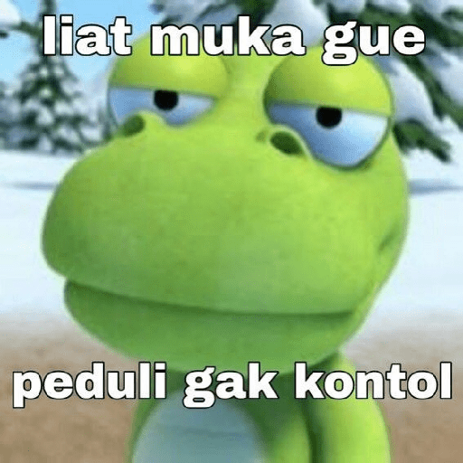 Meme 17