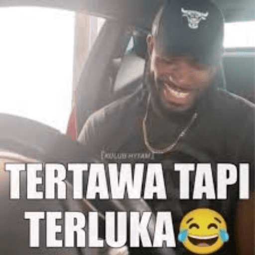 Meme 12
