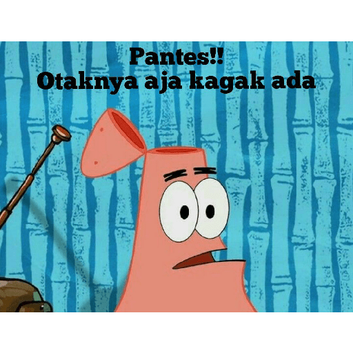 Patrick 8