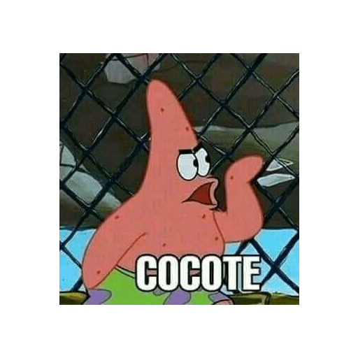 Patrick 1
