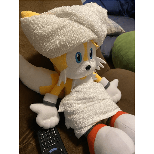 Sonic&friends in a nutshell 18