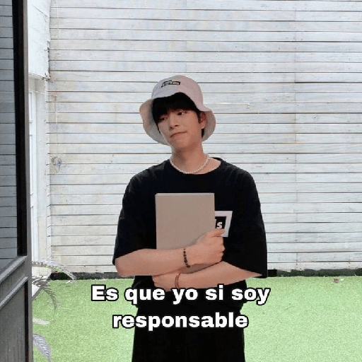Kpop Stickers 24