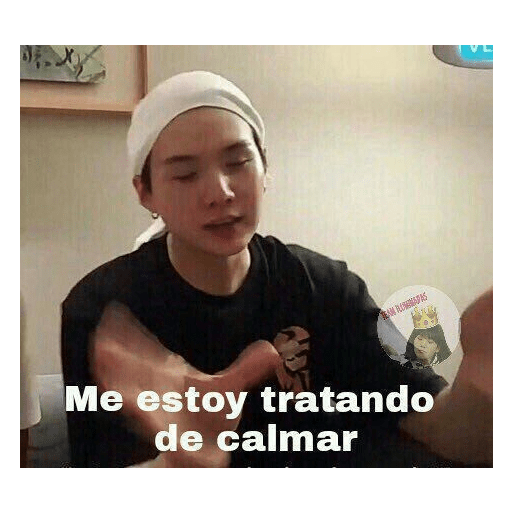 Kpop Stickers 12