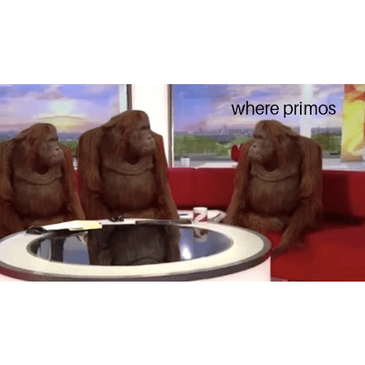 Changos 11