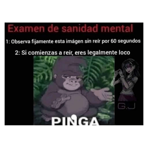Changos 17