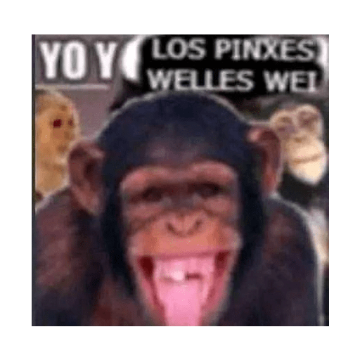 Changos 20
