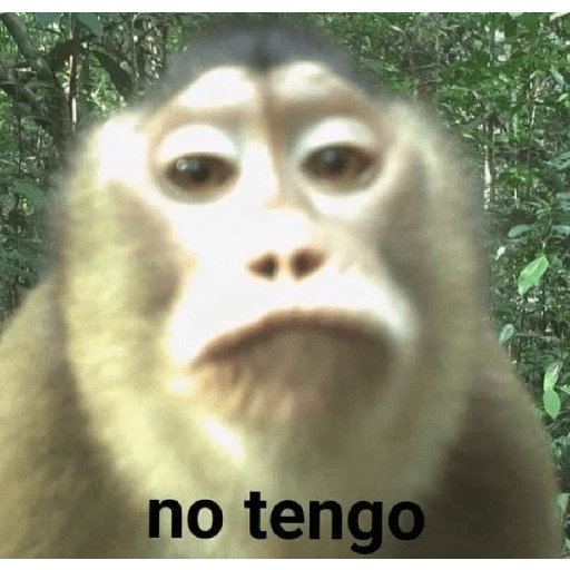 Changos 22
