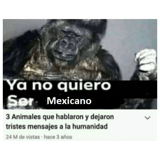 Changos 23