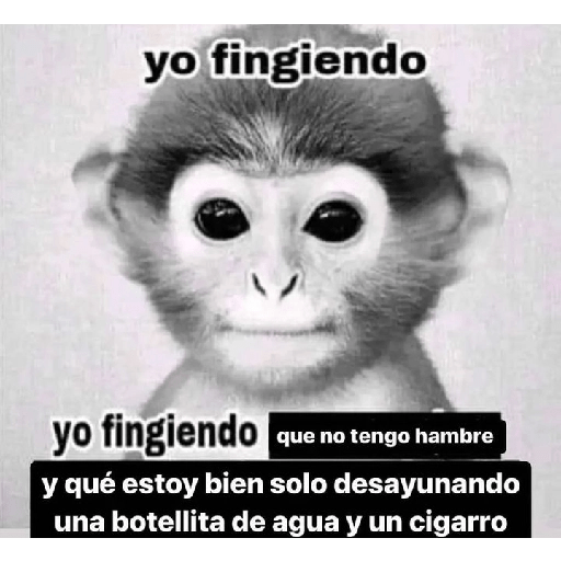 Changos 10