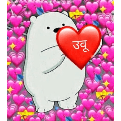 Hindi memes 24