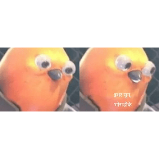 Hindi memes 25