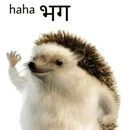 Hindi memes 6