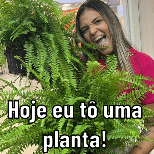 Minhas figurinhas 19