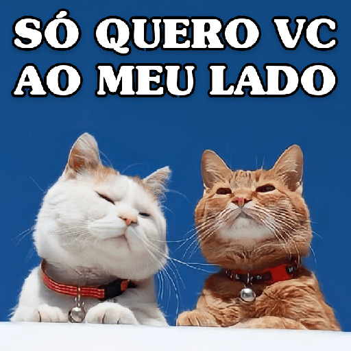 GATINHOS ROMÂNTICOS ❤️😻 4