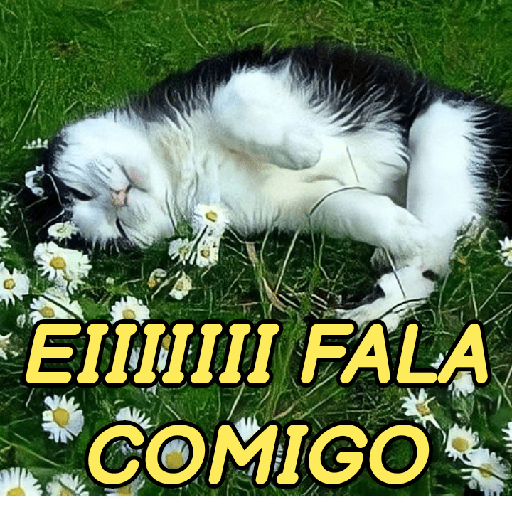 GATINHOS ROMÂNTICOS ❤️😻 13