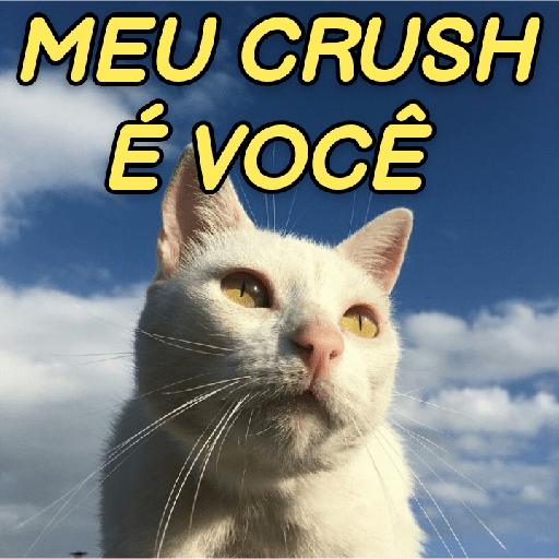 GATINHOS ROMÂNTICOS ❤️😻 11