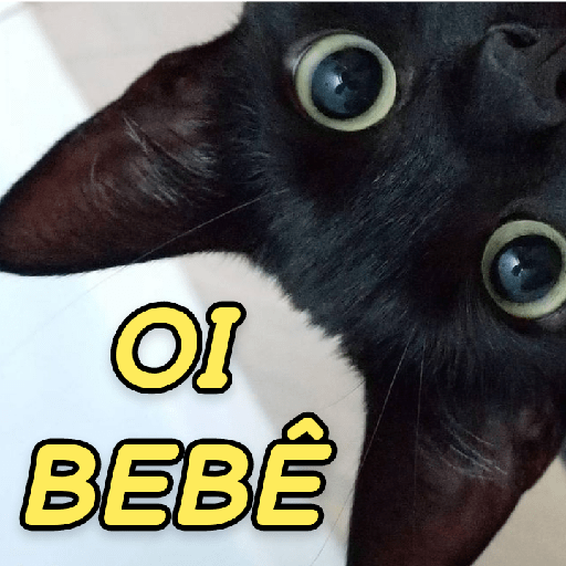 GATINHOS ROMÂNTICOS ❤️😻 3