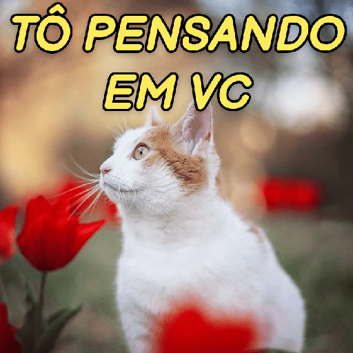 GATINHOS ROMÂNTICOS ❤️😻 15