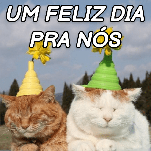 GATINHOS ROMÂNTICOS ❤️😻 2