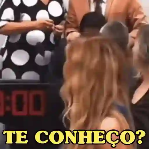 VIRADA DA ERIKA HILTON 👩🏼‍💼 5