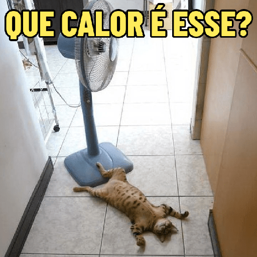 QUE CALOR 🥵🔥 2