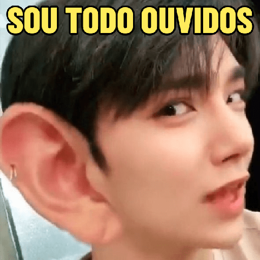 MEMES AO PÉ DA LETRA 🤣 11