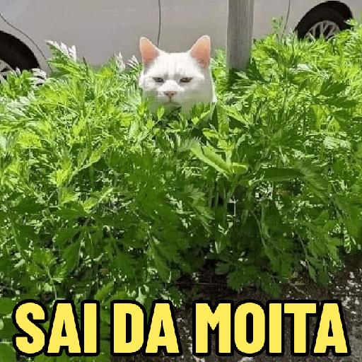 MEMES AO PÉ DA LETRA 🤣 3