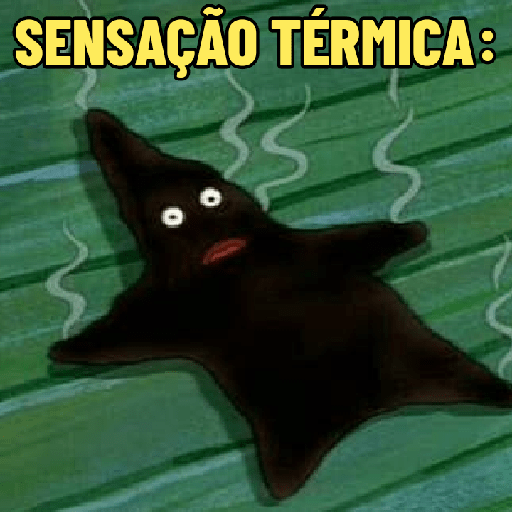 MDS QUE CALOR! 🥵 9