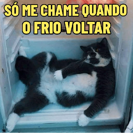 MDS QUE CALOR! 🥵 15