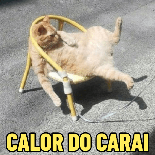 MDS QUE CALOR! 🥵 16