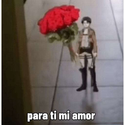 Bbhjj 24