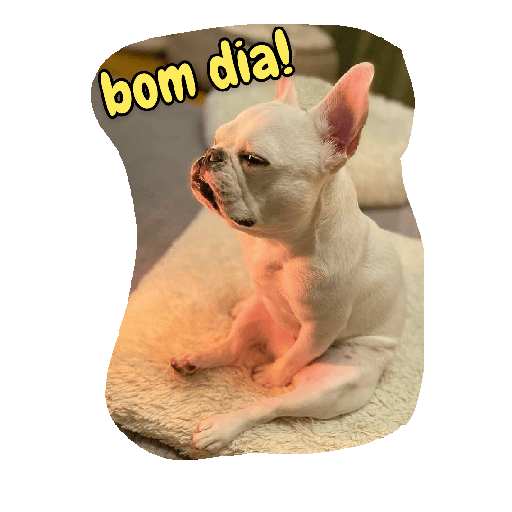 Pacote de bom dia 26