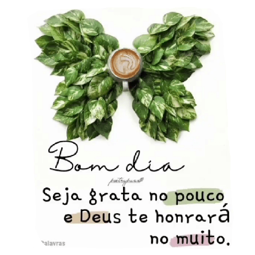 Pacote de bom dia 20