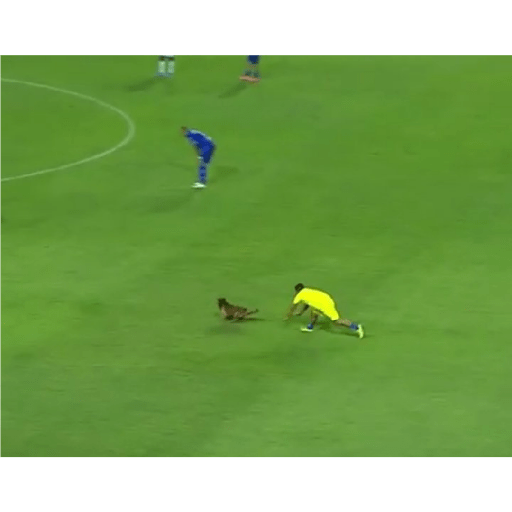 Memes do futebol brasileiro 24